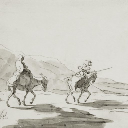 Sophrothera